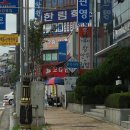 거북이 왕만두김밥 이미지