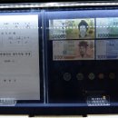 돈벼락 이미지