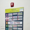 2동탄 두쫀쿠 맛집 메종꾸꾸 솔직후기, 5세 7세 극과극 반응