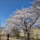 선창목장 | 국내 태교여행 마지막 코스, 서산 한우목장·유기방가옥 후기