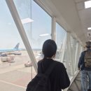 밀감센트럴호텔 | 제주도 공항 근처 숙소 가성비 좋은 엘앤엘센트럴호텔 내돈내산 추천 후기
