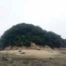 하송도 Daum백과