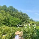 가원농원