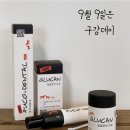 (주)페피테일 이미지