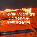 당진황토참숯 | 3초숯가마삼겹살맛집 이색 찜질방 당진황토참숯가마 꿀정보포함 후기(내돈내산)