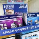 금강동물병원 이미지