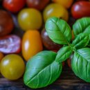 오태중학교 이미지