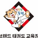 정진태권도 이미지