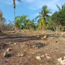 화전민촌 이미지