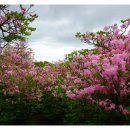 창조과학상사 이미지