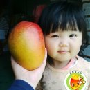 순양농장 이미지