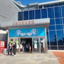 울산고래생태체험관 티스토리