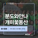 분도와안나개미꽃동산 이미지