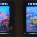 The Amazing Maurice 이미지