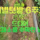 돌담컴퍼니