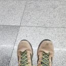 봉크났습니다. 이미지