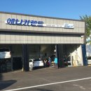 애니카랜드 포승점 이미지