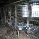 거야농장 이미지