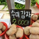 간판없는야채가게