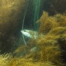 남해-291 이미지