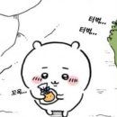 코츠커피