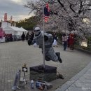 성복사 | 2026 후쿠오카 벚꽃 실시간 마이즈루 공원 축제 후기