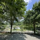 하동농협적량지점 | 경남 하동 신박힐링캠프 ⛺️ 계단식 계곡뷰 맛집, 애견동반, 방갈로