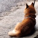 읍내현대(아)경로당 | [DIARY] 2025.11 - 2025.12 : 겨울 일상이야기