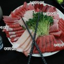 바보푸드