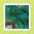 광선축산 | 양배추즙 먹는방법 보관법 확인 후 고른 유기농양배추즙