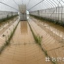 팽성농협미곡종합처리장 이미지