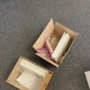 세무회계정민