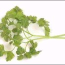 허브인허브 이미지