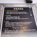 니는짜장내는짬뽕