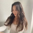 살롱드하진