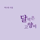 달고양이 이미지