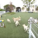 선재농장 이미지