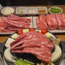 청년양고기