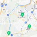 도안동로(유성-85) 이미지