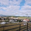 레뷰174풀빌라 이미지