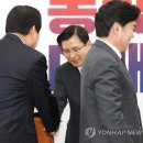 김무성 카카오 검색결과