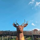 원신근린공원 (2) | 평택 석정근린공원 후기｜신상 대형놀이터 2곳·물놀이터 완비, 아이와 가볼만한 주말 나들이 장소