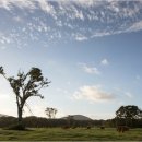 두화목장 이미지