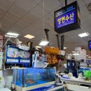 대치1-113 | 노량진수산시장 모듬회 봄도다리제철회 최고 양현수산