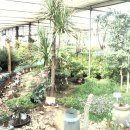 현대아파트 입구 이미지