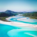 화이트 헤븐 이미지