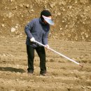 진행농장 이미지