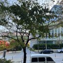 석성산 등산로 | 용인 석성산 정상 등산코스 장거리 주차 정보