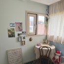 스테이 도토리 이미지