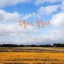 주홍목장 이미지